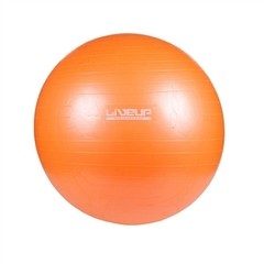 Bola Para Yoga Pilates Fisio Overball Liveup Ls3225 - 25CM