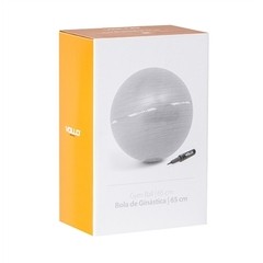 Bola Pilates Gym Ball Com Bomba 65cm - VP1029 - Vollo - comprar online