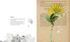 VADEMECUM DE LA FLORA NATURALIS IMAGINARIA - comprar online