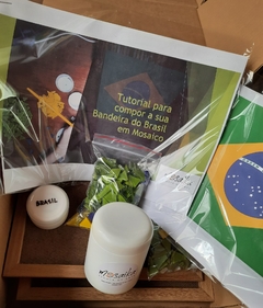 Kit Bandeira do Brasil c Apostila com tutorial e vídeos - Mosaika Escola de Arte