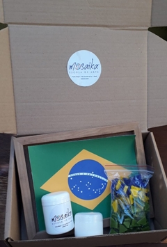 Kit Bandeira do Brasil c Apostila com tutorial e vídeos na internet