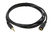 CABLE AUDIO EXTENSOR MINIPLUG - comprar online