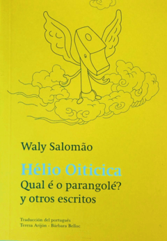 SALOMAO, WALY - Hélio Oiticica. Qual é o parangolé? y otros escritos