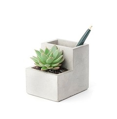 Maceta de cemento para el escritorio - Material