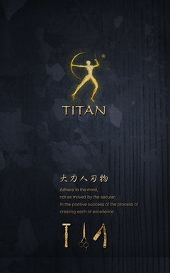TITAN BARBER SCISSIORS JAPAN VG10 na internet
