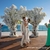 Casamentos no Secrets Resorts & Spas: O Cenário Perfeito para Celebrar seu Amor - Unibens Turismo