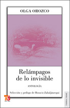 RELÁMPAGOS DE LO INVISIBLE