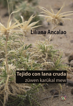 Tejido con lana cruda / züwen karükal mew