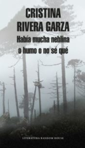 Había mucha neblina o humo o no sé qué