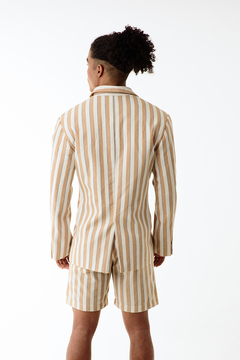 Men's blazer vertical stripes - buy online