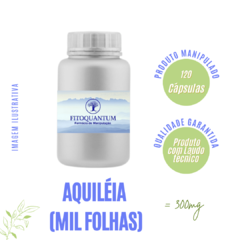 Aquiléia (Mil Folhas)! Pote com 120 Cápsulas de 300mg!