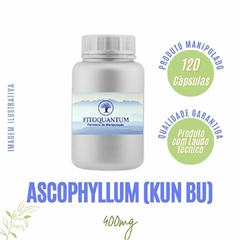 Ascophyllum (Kun Bu - Alga Marrom)! Pote com 120 Cápsulas de 400mg!