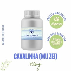 Cavalinha! Pote com 120 Cápsulas de 400mg!