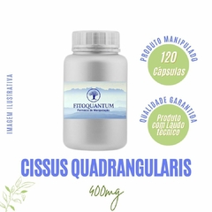 Cissus Quadrangularis! Pote com 120 Cápsulas de 400mg!