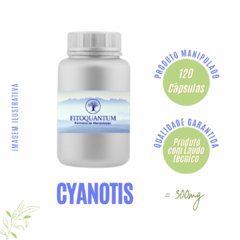 Cyanotis! Pote com 120 Cápsulas de 300mg!