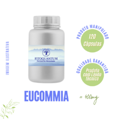 Eucommia! Pote com 120 Cápsulas de 400mg!