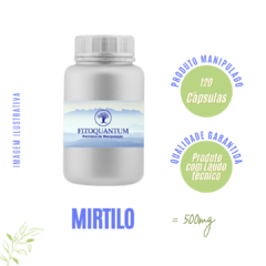 Mirtilo! Pote com 120 Cápsulas de 500mg!