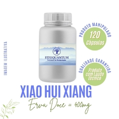 Erva Doce (Xiao Hui Xiang)! Pote com 120 Cápsulas de 300mg!