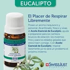 ACEITE ESENCIAL DE eucalipto 10 ML - swiss just en internet