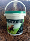 CRESCER - Suplemento para Cavalos e Potros - 2,5 kg