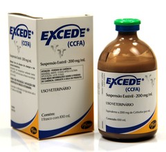 EXCEDE INJETÁVEL CCFA 100ML