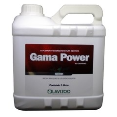 GAMA POWER 5 LITROS - LAVIZOO
