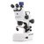 Stemi 508 - Microscópio Estereoscópio Binocular