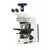 Microscópio Binocular Axio Scope.A1