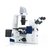 Microscópio Invertido AxioVert.A1