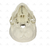 Crânio Humano c/ Mandíbula Móvel e Dentes Extraíveis em 6 Partes - SD-5006 - Sdorf Scientific - comprar online