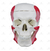 Crânio Humano c/ Mandíbula Móvel e Músculos da Mastigação - SD-5006/C - Sdorf Scientific - comprar online
