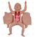 Manequim Bissexual Bebê C/ Órgãos Internos P/ Treino de Enfermagem - SD-4001 - Sdorf Scientific - comprar online