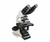 Microscópio Plano Binocular L2000-B-PL