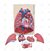 Sistema Respiratório em 7 Partes - SD-5062 - Sdorf Scientific - comprar online