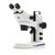 Stemi 305 EDU - Microscópio Estereoscópio Binocular