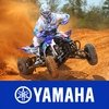 Kits Yamaha ATV