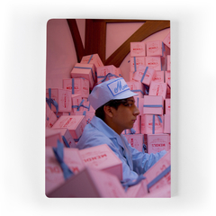 Pack libretas wes Anderson - Palmera