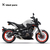 Pneu Pirelli DIABLO ROSSO™ II (2) 180/55-17 - loja online