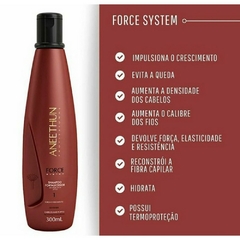 Shampoo Fortalecedor Linha Force System Aneethun 300ml - comprar online