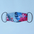 Imagen de TAPABOCA PACK X 3