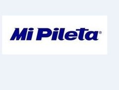 PILETA 502 DOBLE MI PILETA - comprar online