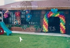 PISCINAS Y EXTERIOR - ALE DE LUCA arte con globos