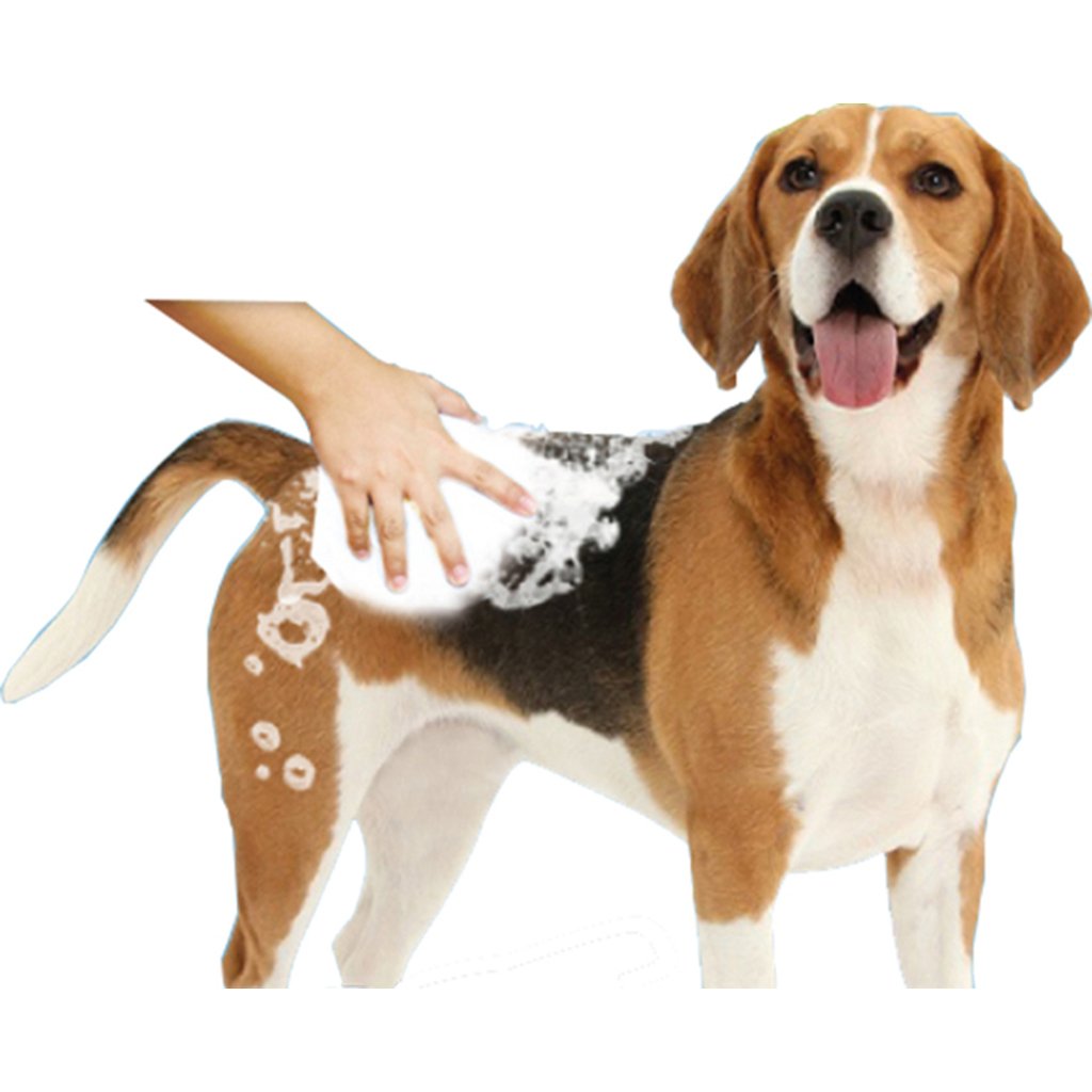 Pañal para perros: protección y comodidad. Paño Pet® Gel Max
