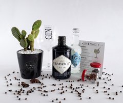 CAJA VIVA - GIN TONIC HENDRICKS en internet