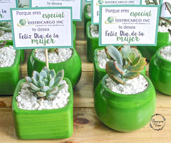 EN CERAMICA (mayor a 12 unidades) - tienda online