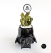 CABEZA GRANDE DARTH VADER CON PLANTA