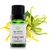 Ylang Ylang III 10ml - Terra Flor