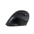 Mouse vertical sem fio Multilaser mo284, USB, ergonômico - MO284 - loja online