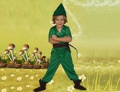 Disfraz Peter Pan Duende Verde en internet