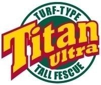 Festuca Turf Type Titan Ultra El Cencerro 22.5 Kg en internet